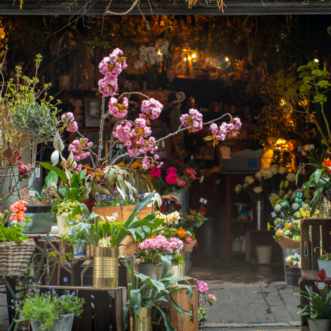 Maximizing Your Flower Cooler Space: Organization Tips for Florists